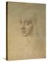 Portrait of a Girl-Leonardo da Vinci-Stretched Canvas