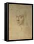 Portrait of a Girl-Leonardo da Vinci-Framed Stretched Canvas