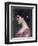 Portrait of a Girl-John William Waterhouse-Framed Premium Giclee Print