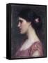 Portrait of a Girl-John William Waterhouse-Framed Stretched Canvas