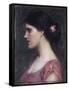 Portrait of a Girl-John William Waterhouse-Framed Stretched Canvas
