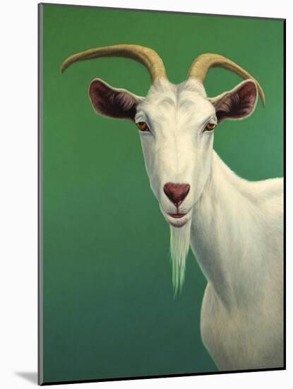 Portrait of a Goat-James W. Johnson-Mounted Giclee Print