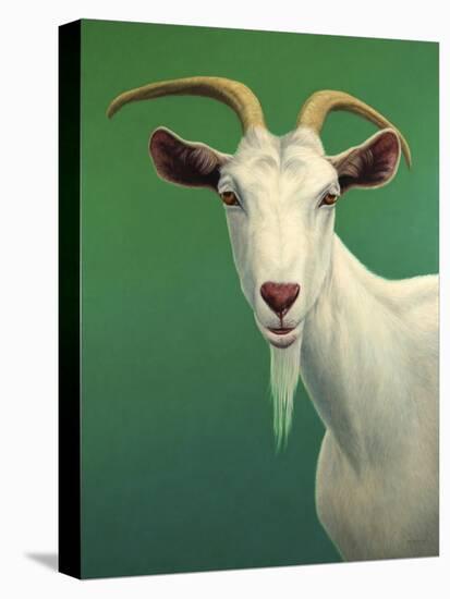 Portrait of a Goat-James W. Johnson-Stretched Canvas