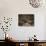 Portrait of a Golden Eagle, Highlands, Scotland, United Kingdom, Europe-Rainford Roy-Photographic Print displayed on a wall