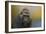 Portrait of a Gorilla-Jai Johnson-Framed Premium Giclee Print