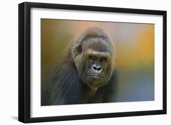 Portrait of a Gorilla-Jai Johnson-Framed Premium Giclee Print