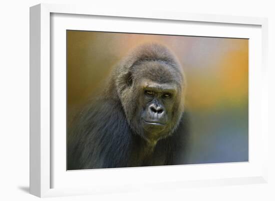 Portrait of a Gorilla-Jai Johnson-Framed Premium Giclee Print