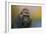 Portrait of a Gorilla-Jai Johnson-Framed Premium Giclee Print