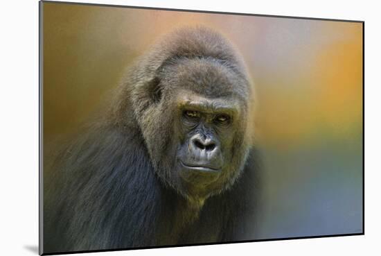 Portrait of a Gorilla-Jai Johnson-Mounted Premium Giclee Print