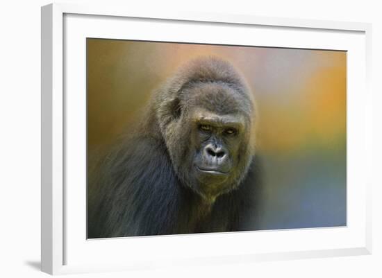 Portrait of a Gorilla-Jai Johnson-Framed Giclee Print