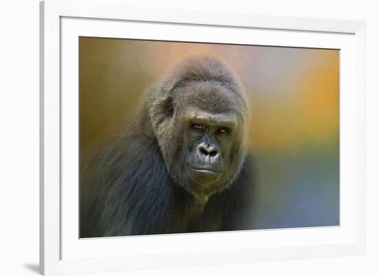 Portrait of a Gorilla-Jai Johnson-Framed Giclee Print