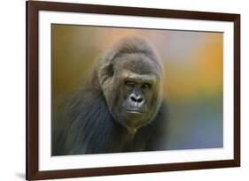 Portrait of a Gorilla-Jai Johnson-Framed Giclee Print