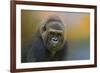 Portrait of a Gorilla-Jai Johnson-Framed Giclee Print