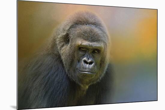 Portrait of a Gorilla-Jai Johnson-Mounted Giclee Print