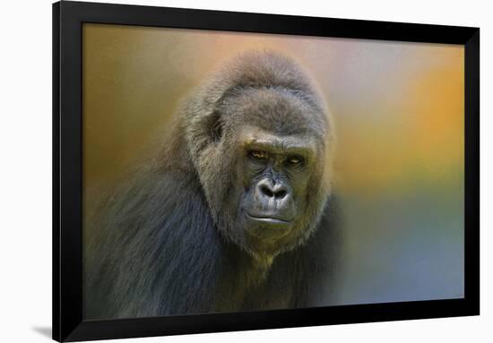 Portrait of a Gorilla-Jai Johnson-Framed Giclee Print