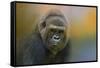 Portrait of a Gorilla-Jai Johnson-Framed Stretched Canvas