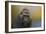Portrait of a Gorilla-Jai Johnson-Framed Giclee Print