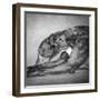 Portrait of a Greyhound dog-Panoramic Images-Framed Photographic Print