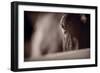 Portrait of a Horse Kentucky-Steve Gadomski-Framed Photographic Print