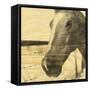 Portrait of a Horse-Casey Mckee-Framed Stretched Canvas