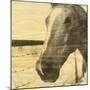 Portrait of a Horse-Casey Mckee-Mounted Art Print