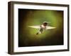 Portrait of a Hummingbird in Flight-Jai Johnson-Framed Giclee Print