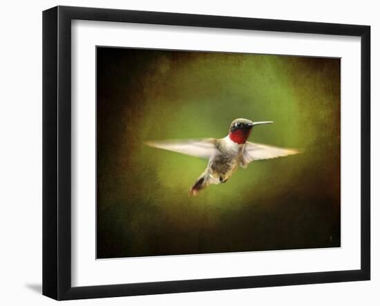 Portrait of a Hummingbird in Flight-Jai Johnson-Framed Giclee Print