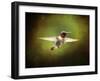 Portrait of a Hummingbird in Flight-Jai Johnson-Framed Giclee Print