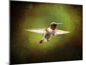 Portrait of a Hummingbird in Flight-Jai Johnson-Mounted Giclee Print