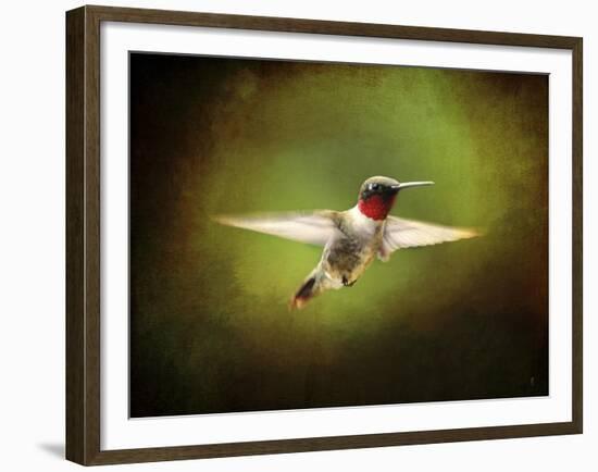 Portrait of a Hummingbird in Flight-Jai Johnson-Framed Giclee Print