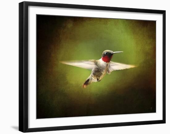 Portrait of a Hummingbird in Flight-Jai Johnson-Framed Giclee Print
