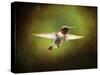 Portrait of a Hummingbird in Flight-Jai Johnson-Stretched Canvas