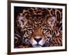 Portrait of a Jaguar, Brazil-Mark Newman-Framed Photographic Print