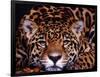 Portrait of a Jaguar, Brazil-Mark Newman-Framed Photographic Print