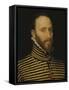 Portrait of a Knight of the Order of Calatrava-Frans Pourbus I-Framed Stretched Canvas