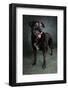Portrait of a Labrador Golden Mixed Dog-null-Framed Photographic Print