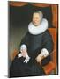 Portrait of a Lady, 1649-Nicolaes Maes-Mounted Giclee Print