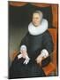Portrait of a Lady, 1649-Nicolaes Maes-Mounted Giclee Print