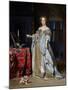 Portrait of a Lady, 1667-Gabriel Metsu-Mounted Giclee Print