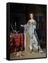 Portrait of a Lady, 1667-Gabriel Metsu-Framed Stretched Canvas