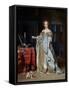 Portrait of a Lady, 1667-Gabriel Metsu-Framed Stretched Canvas