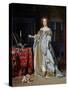 Portrait of a Lady, 1667-Gabriel Metsu-Stretched Canvas