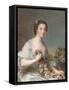 Portrait of a Lady, 1738-Jean-Marc Nattier-Framed Stretched Canvas