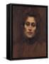 Portrait of a Lady, 1894-Eugene Carriere-Framed Stretched Canvas