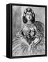 Portrait of a Lady, 19th Century-Constantin Guys-Framed Stretched Canvas