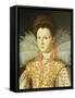 Portrait of a Lady, Bust Length, Wearing an Embroidered Dress with Lace Ruff Collar-Santi Di Tito-Framed Stretched Canvas