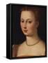 Portrait of a Lady, Bust Length, Wearing an Embroidered Pink Dress and a Pearl Necklace, and with…-Francois Clouet (Follower of)-Framed Stretched Canvas