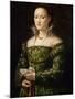 Portrait of a Lady, C.1560-Alessandro Allori-Mounted Giclee Print