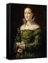 Portrait of a Lady, C.1560-Alessandro Allori-Framed Stretched Canvas