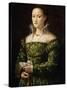 Portrait of a Lady, C.1560-Alessandro Allori-Stretched Canvas